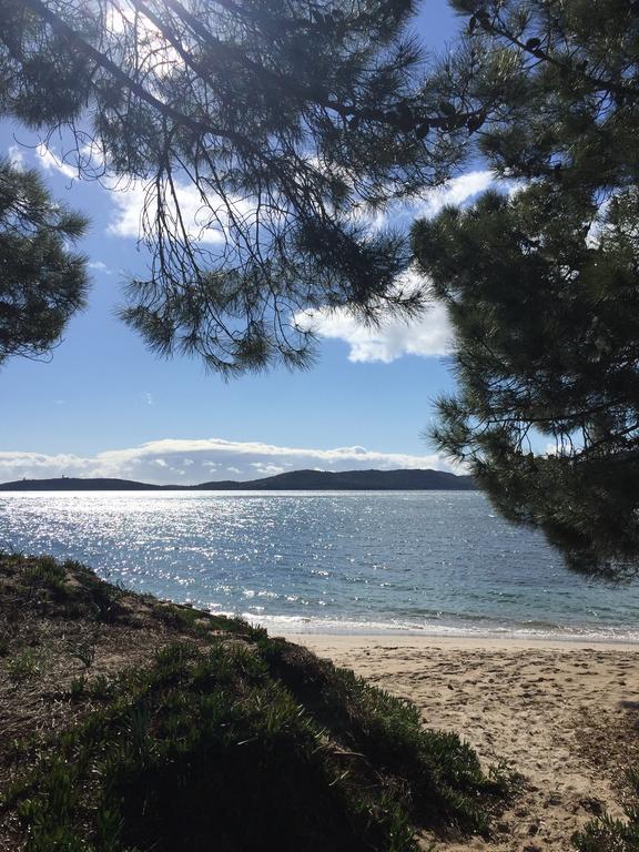 Villas Cala Corsa - 3 Et 4 Chambres - Cala Rossa Porto-Vecchio - Villas Entierement Climatisees Avec Piscine Chauffee Partagee Et Piscines Privees - Internet Gratuit エクステリア 写真