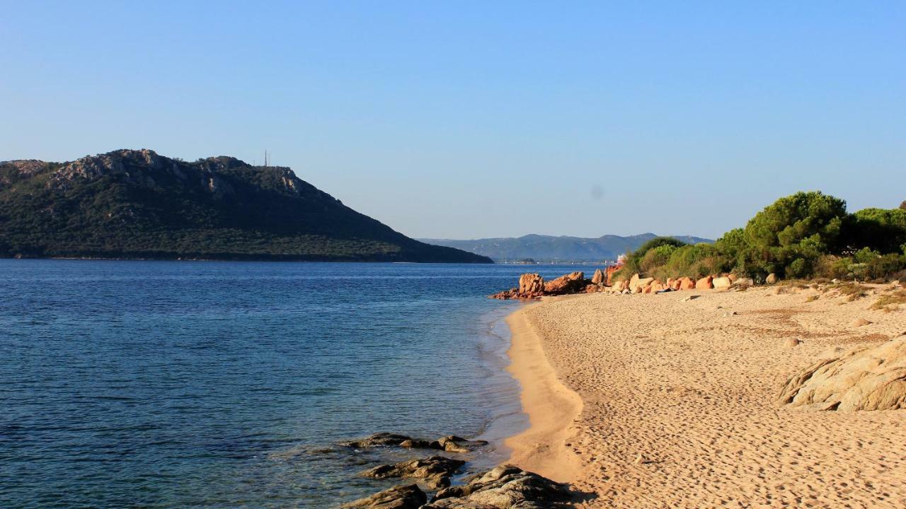 Villas Cala Corsa - 3 Et 4 Chambres - Cala Rossa Porto-Vecchio - Villas Entierement Climatisees Avec Piscine Chauffee Partagee Et Piscines Privees - Internet Gratuit エクステリア 写真